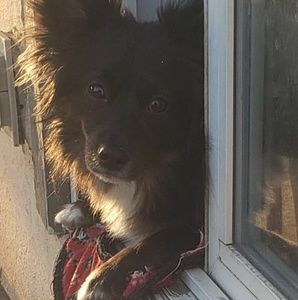 Meet your Posher, Jodi